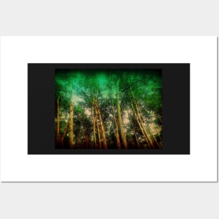 Deep Forest Posters and Art